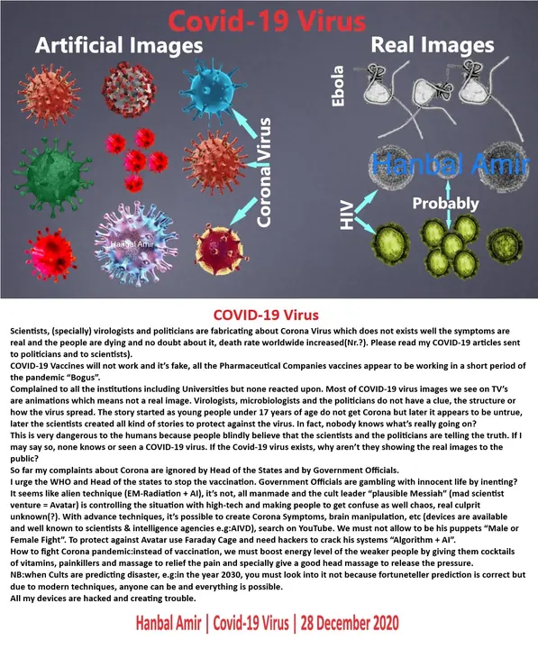 Covid-19 Virus, article by Hanbal Amir, 28 December 2020