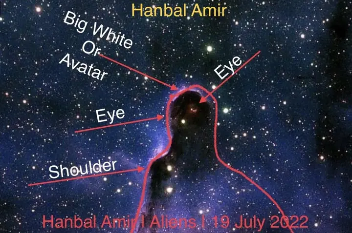 Aliens · Big White Avatar, article by Hanbal Amir, 19 July 2022