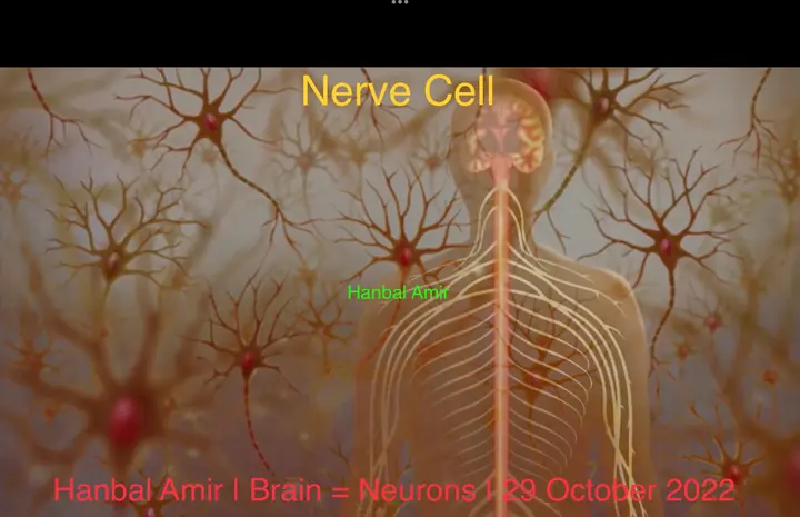 Brain = Neurons · Nerve Cell, article by Hanbal Amir, 29 October 2022