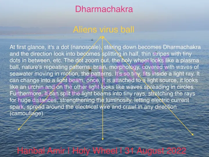 Holy Wheel · Dharmachakra, article by Hanbal Amir, 31 August 2022