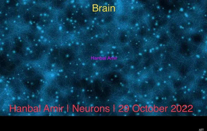 Neurons, article by Hanbal Amir, 29 October 2022