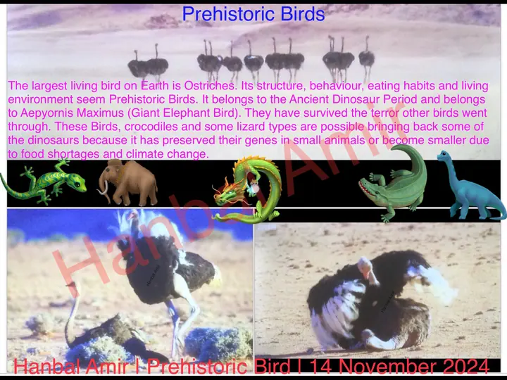 Prehistoric Bird, article by Hanbal Amir, 14 November 2024