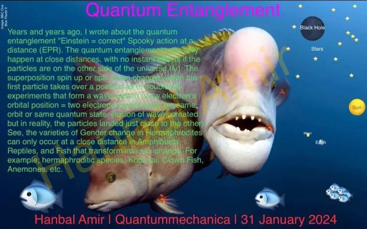 Quantum Entanglement · Quantummechanica, article by Hanbal Amir, 31 January 2024