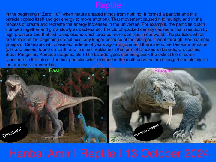 Reptile, article by Hanbal Amir, 13 October 2024