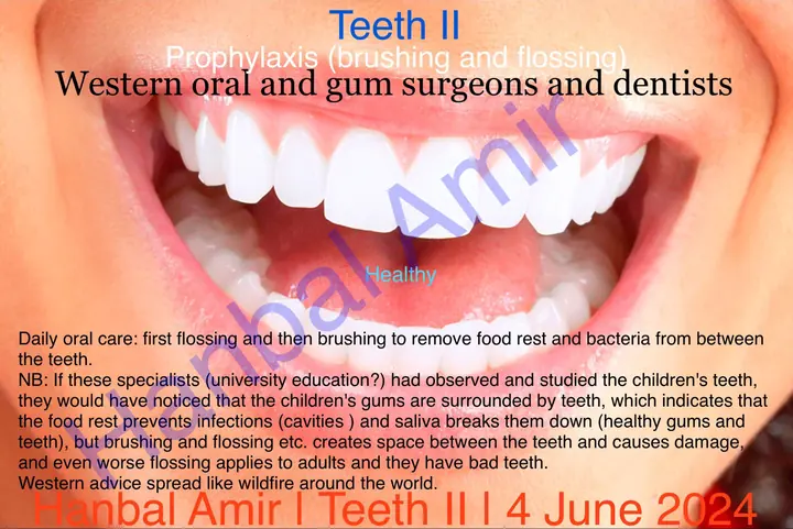 Teeth II, article by Hanbal Amir, 4 June 2024