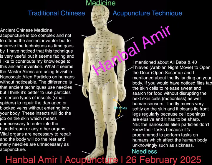 Acupuncture, article by Hanbal Amir, 26 February 2025