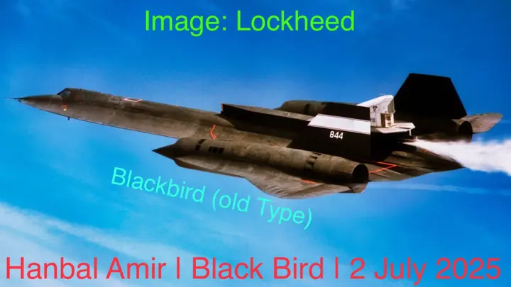 Black Bird, article by Hanbal Amir, 2 July 2025