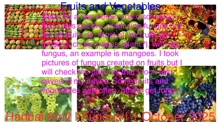Fungus · Fruits and Vegetables, article by Hanbal Amir, 1 October 2025