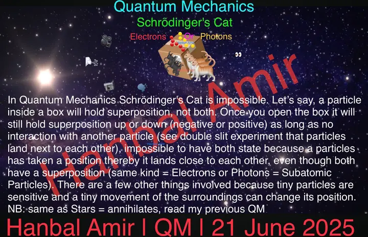 Quantum Mechanics · Schrödinger’s Cat, article by Hanbal Amir, 21 June 2025