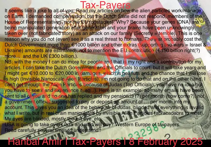 Tax-Payers, article by Hanbal Amir, 8 February 2025