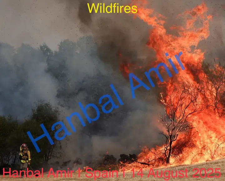 Wildfires · Spain, article by Hanbal Amir, 14 August 2025